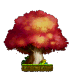 Above the Maple Tree