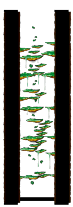 猴子迷宫Ⅱ
