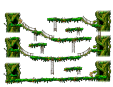 Where Trees Dance