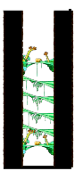 Tree Trunk Nest 2