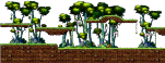 Radiant Lake Path 3