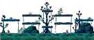 Shadowy Forest
