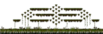 Dangerous Croco
