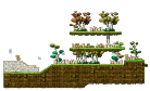 Forest Trail 2