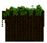 Secret Swamp