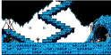 Bottom of the Temple