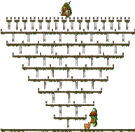 Ola Ola <Level 3>