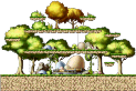 Training Forest I