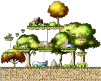 Tiru's Forest