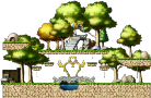Training Forest III