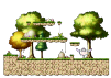 Forest of Beginning 3