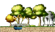 The Tranquil Garden