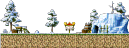 Cold Forest 1