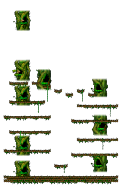 The Monkey Forest