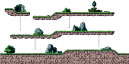 Darkness Forest 2