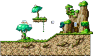 Lush Forest