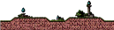 Forest of Darkness 1