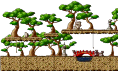Entrance to Sky Forest