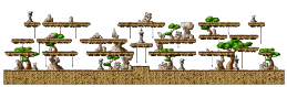 Wild Bear Area 2