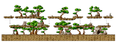 Where the Sky Forest Ends
