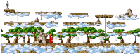 Foggy Forest