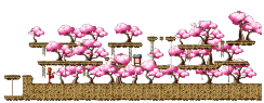 Peach Farm 3