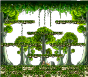 Forest of Training 1