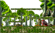 Forest of Training 4