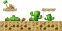 Young Cactus Desert