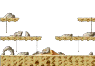 Bellamoa's Cave
