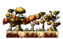 Scrubby Garden