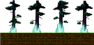 Pitch-Black Forest 1