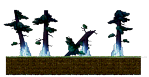 Aurora Low Forest