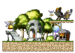 Cygnus's Rest