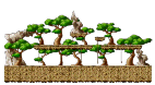 Foresty Reindeer Field
