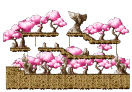 Gorgeous Peach Field