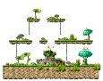 Western Minar Forest <3>