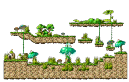 Western Minar Forest <4>
