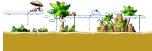 Golden Coast <6>