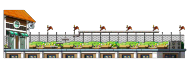 School Roof