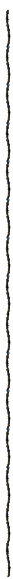 Vertical Ship Railway