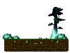 Forest of Peace