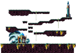 Western Radiant Forest 1