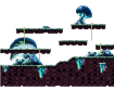 Western Crystal Forest 3