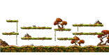 Fox Tree Top Path