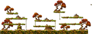 Fox Tree Lower Path
