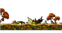 Fox Tree Outcrop