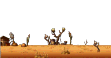 Nameless Wastes