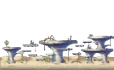 Near the Desert 2
