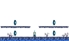 Within the Vanishing Land